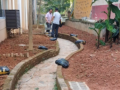 物业在小区绿化养护中需要承担哪些责任？