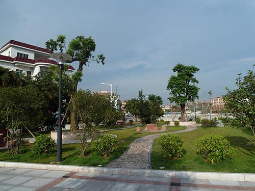 园林设计改造主要内容有哪些？