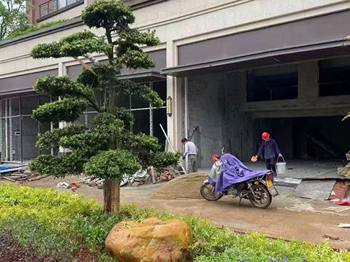 看园林设计施工有哪些完整工作流程？
