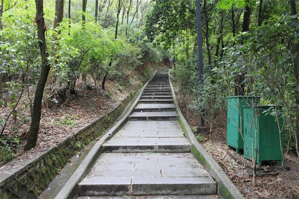 卓众集体员工清洁旗峰山