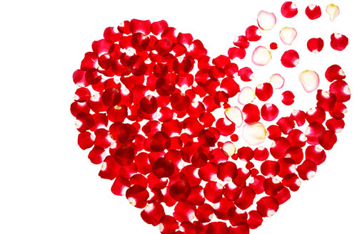 祝福所有女性节日快乐 幸福美满