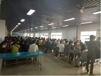 东莞毕业生安置