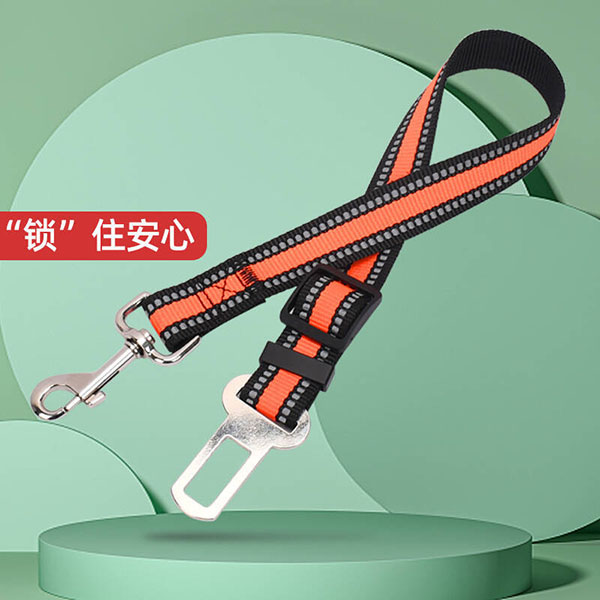 宠物安全带