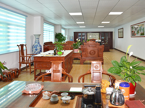 公司实景展示