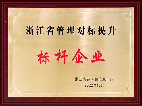 标杆企业
