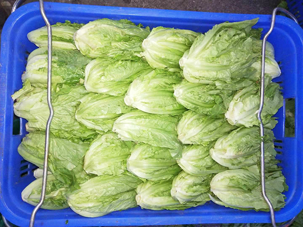 百润祥膳食当季包生菜...