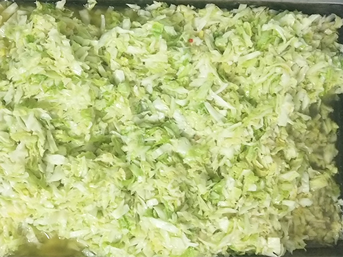 大白菜