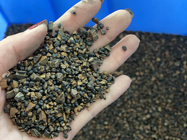 橄榄核桃颗粒8-18...