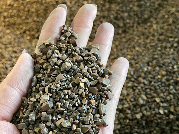 橄榄核桃颗粒混用型