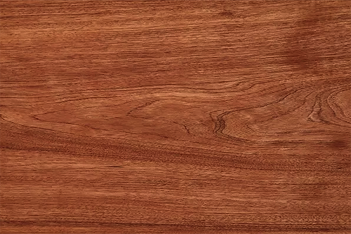 红橡木皮