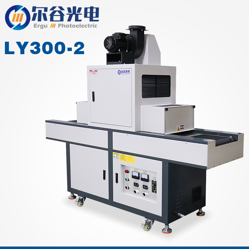 LY300-2 curing machine
