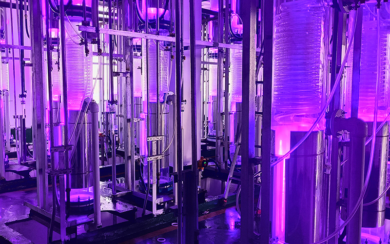 紫外线催化反应系统-化工案例