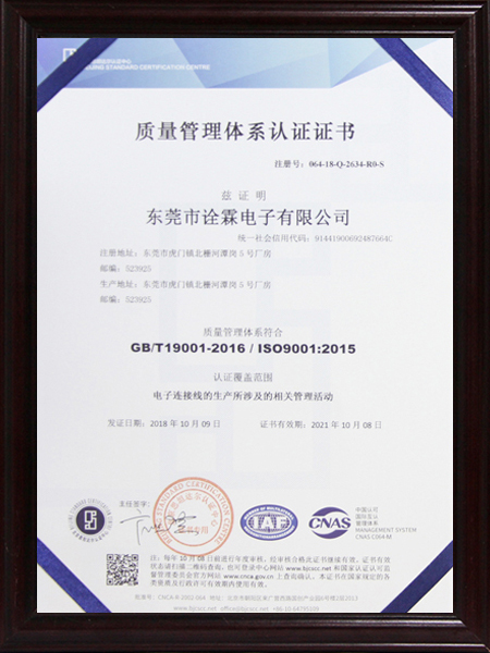 ISO-9001中文...