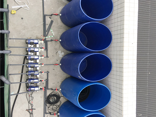 废水处理加药系统