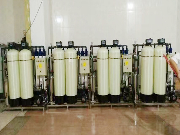 IM全自动一体化纯水...