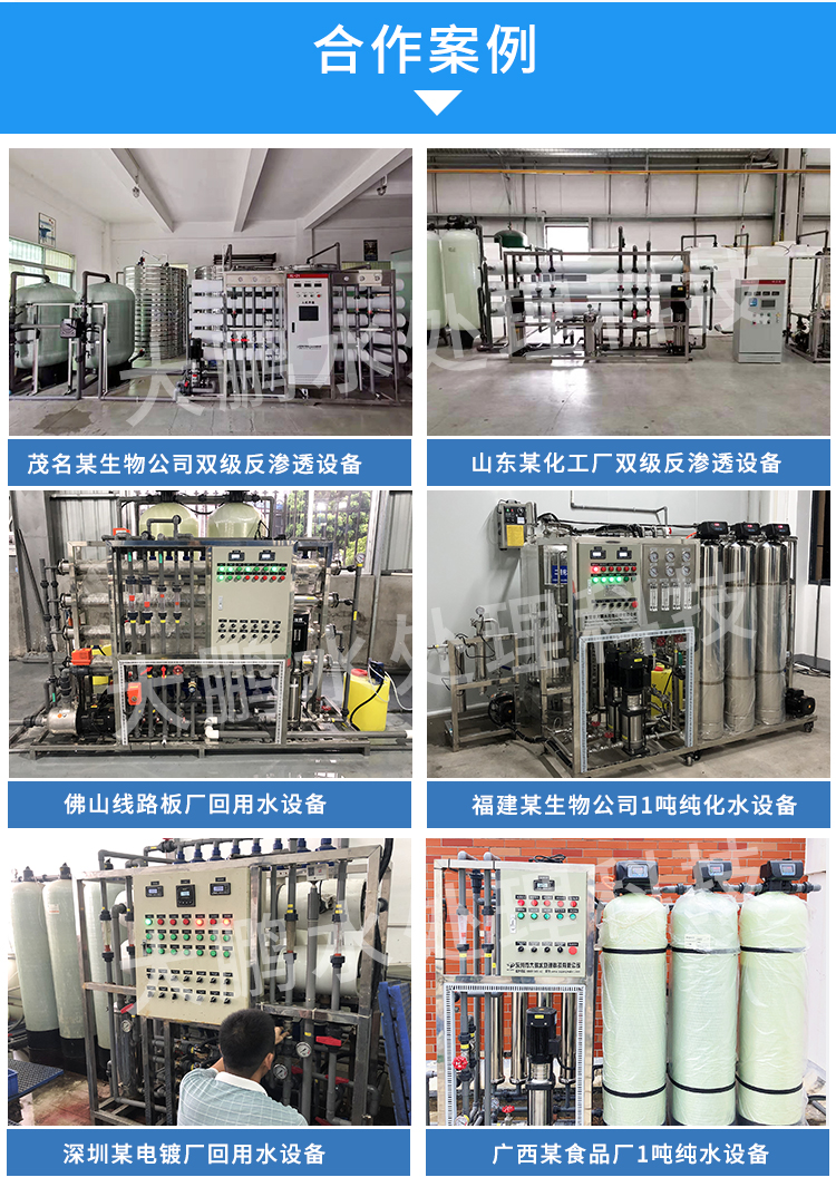 电去离子超纯水设备