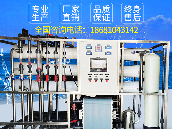 6吨EDI反渗透设备