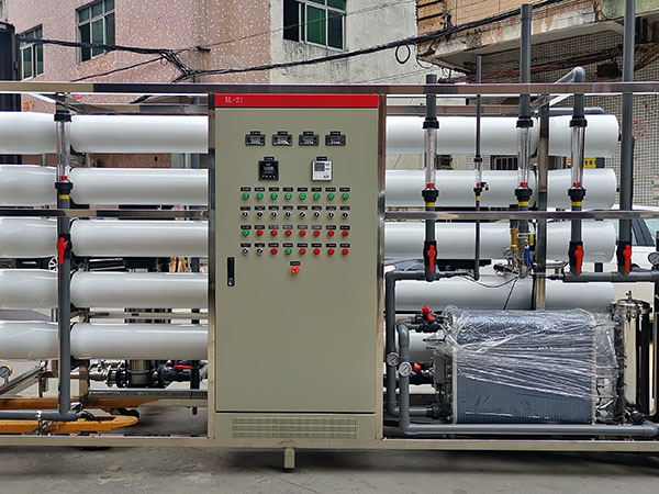 6吨双级EDI超纯水...