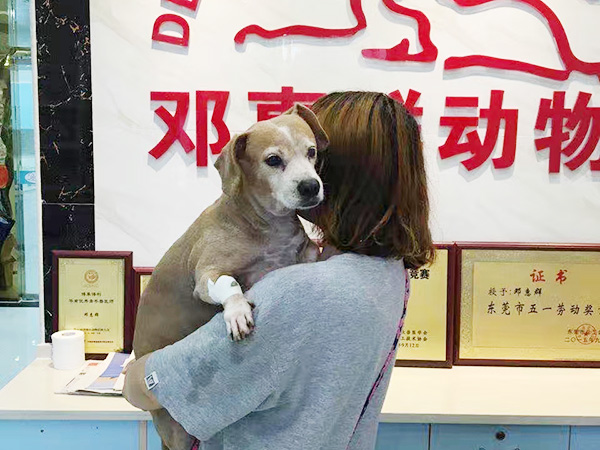 回顾十年前即：2016年我们医院的肿瘤手术病例