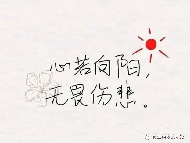 世上所有的病， 都是免疫系统打了败仗，每个人都该看看