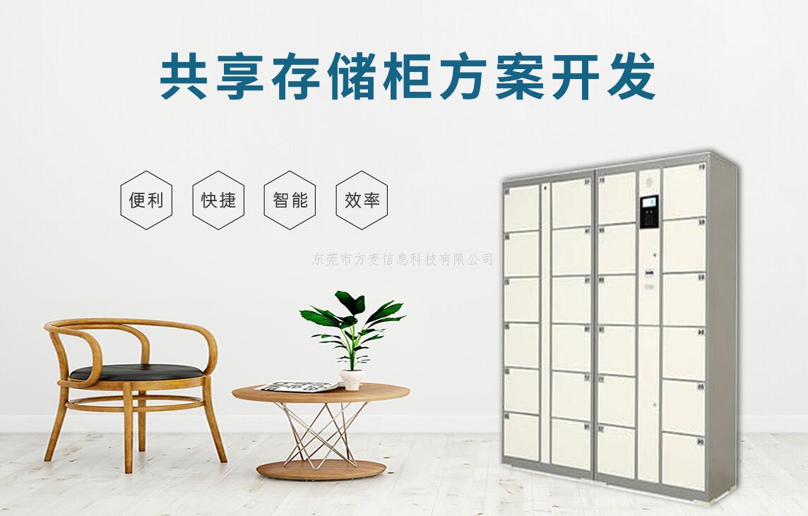 共享存储柜智能系统开发