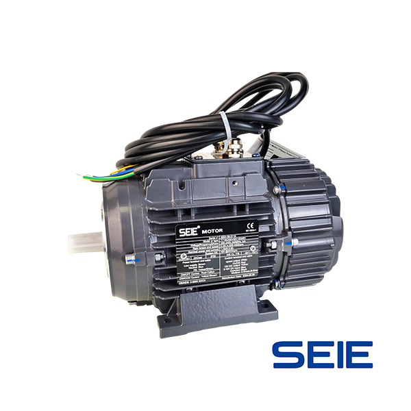 IE5 permanent magnet EC motor (integrated)