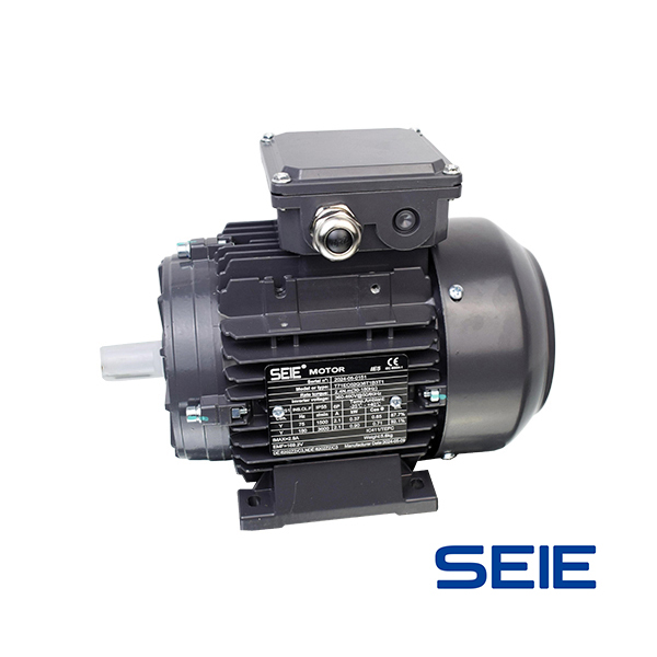 IE5 permanent magnet EC motor (customized)