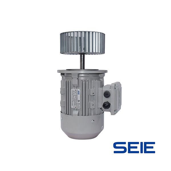 Cast iron long shaft motor