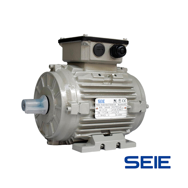 Special motor for cast iron fan