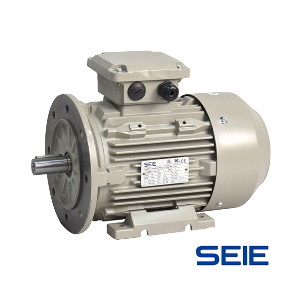 三相铸铁壳电机