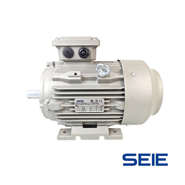 三相铸铁壳美国NEM...