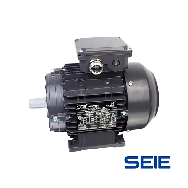 IE5永磁EC电机（...