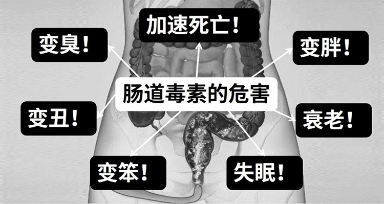 君康能阳光精华温暖腹部