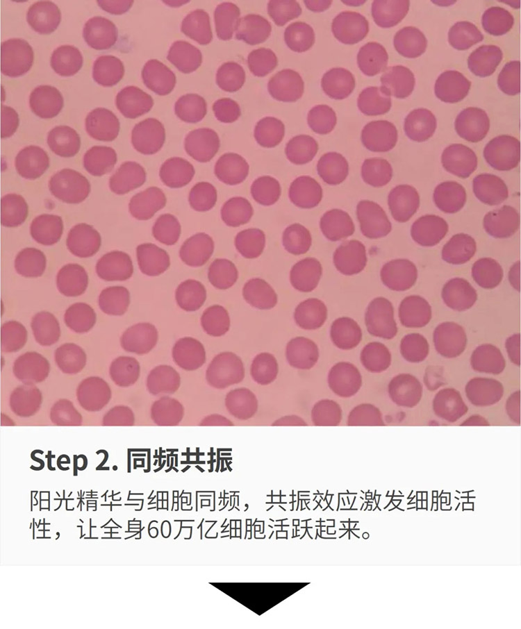 君康能阳光精华温暖腹部