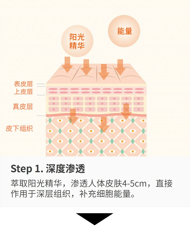 君康能阳光精华温暖腹部