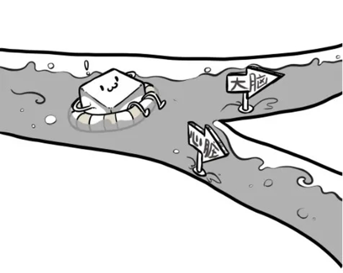 每2个成年人就有一个是糖尿病预备军，会是你吗？