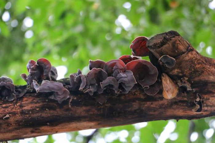 【女性必看！】子宫肌瘤——每5个女人，就有1个中招！