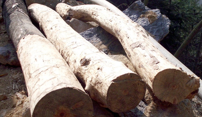 【女性必看！】子宫肌瘤——每5个女人，就有1个中招！