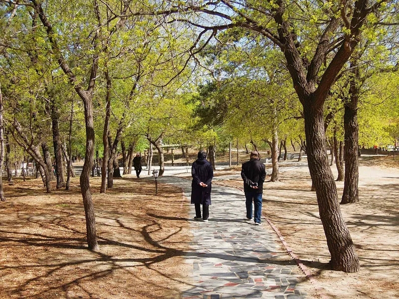 src=http_%2F%2Fm.tuniucdn.com%2Ffb2%2Ft1%2FG5%2FM00%2FF1%2FAB%2FCii-tFrylSuIQVbnABBkKcqctywAAGmGwGTx_QAEGRB598_w800_h0_c0_t0.jpg&refer=http_%2F%2Fm.tuniucdn.jpg 图片