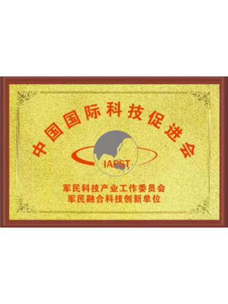 中国国际科技促进会