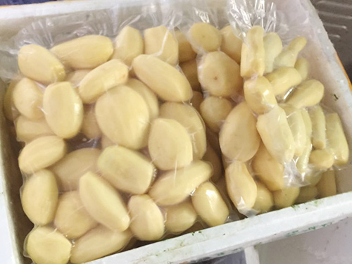 土豆真空机应用案例