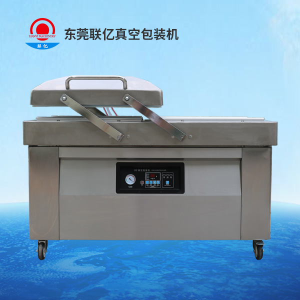 LY-600-2SB 双室内抽真空包装