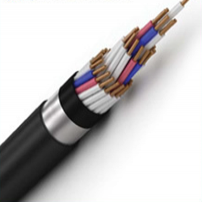 聚乙烯绝缘及护套控制...