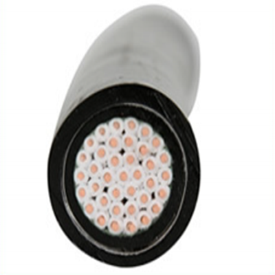 铜芯全塑胶（铠装）控...