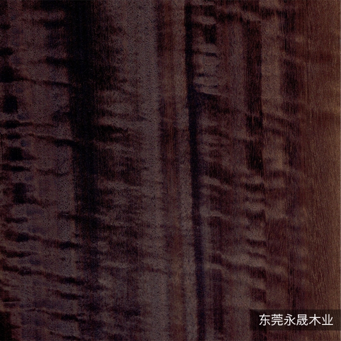 烟熏尤加利-6156