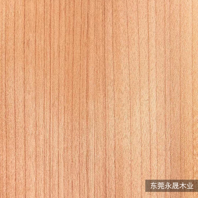 西南桦直纹