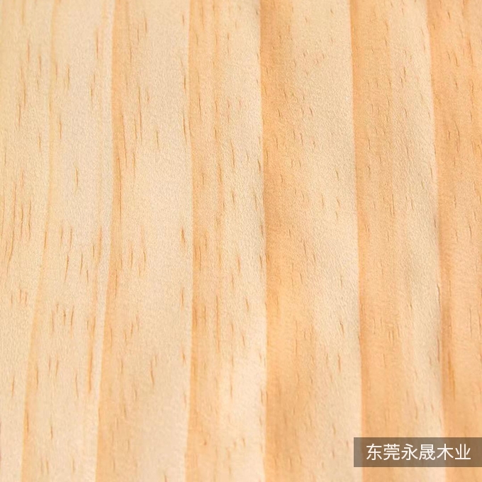 新西兰松木直纹