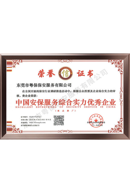 中国保安服务综合实力...