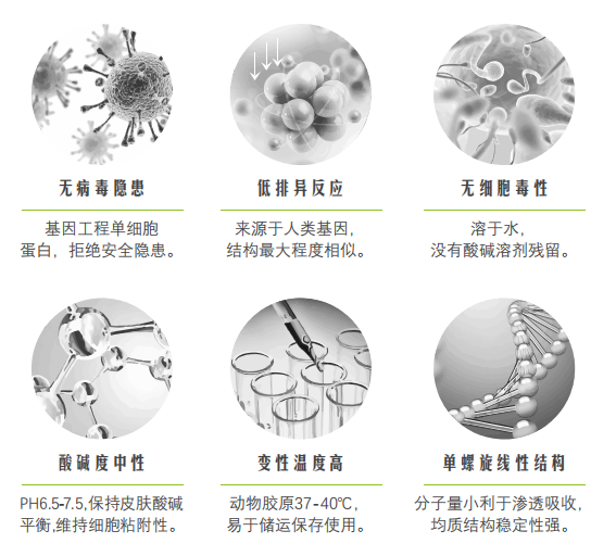 重组人源胶原蛋白的六大优势