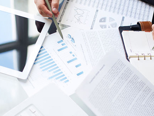 项目环境评估报告